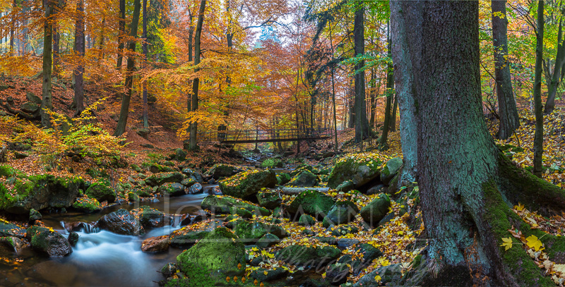 Ilsetal, Harz