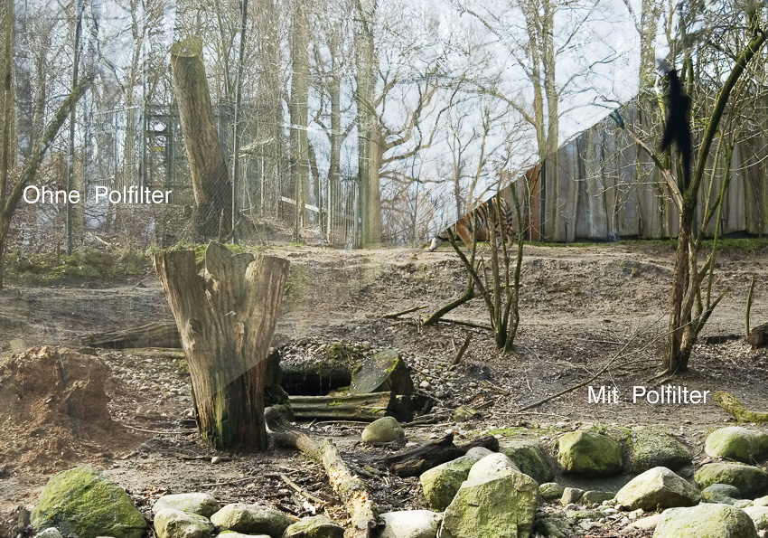 Entspiegelung durch Polfilter