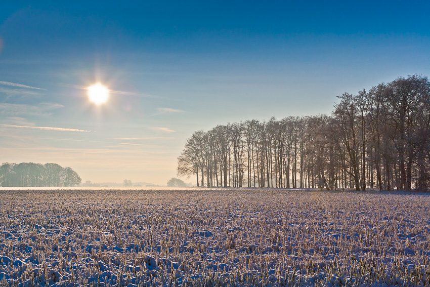 Landscape in Winter Landscape in Winter