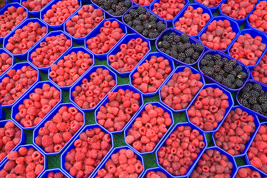 In einem regelmäßigen Muster angeordnete Schalen mit Beeren.