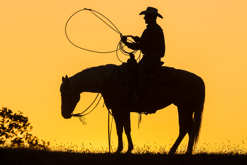 Silhouette eines Wranglers auf seinem Pferd